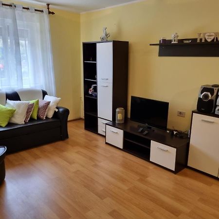 Apartment Sanja Пазин Екстериор снимка