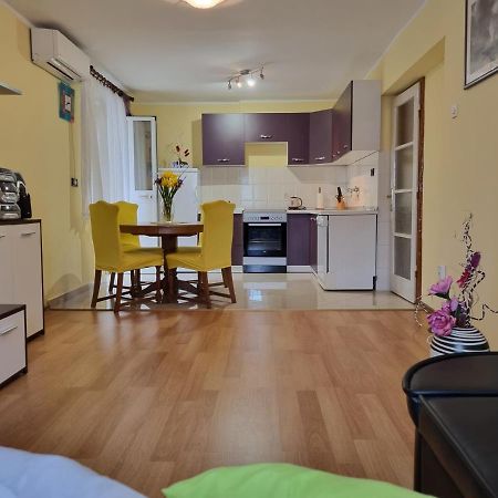 Apartment Sanja Пазин Екстериор снимка