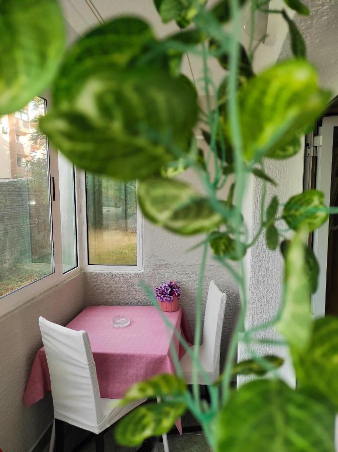 Apartment Sanja Пазин Екстериор снимка