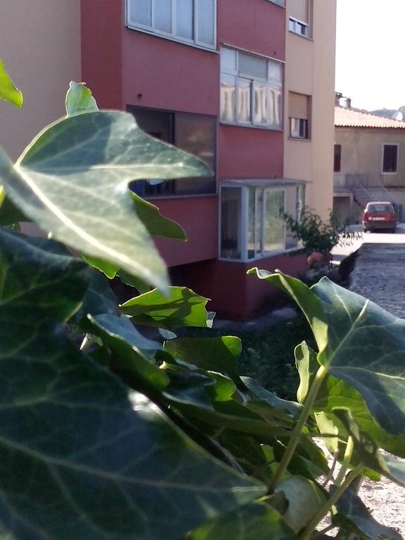 Apartment Sanja Пазин Стая снимка